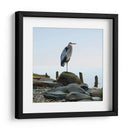 Playscape Heron I - James McLoughlin | Cuadro decorativo de Canvas Lab