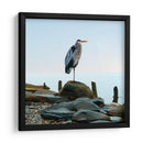 Playscape Heron I - James McLoughlin | Cuadro decorativo de Canvas Lab
