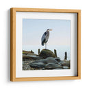 Playscape Heron I - James McLoughlin | Cuadro decorativo de Canvas Lab