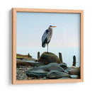 Playscape Heron I - James McLoughlin | Cuadro decorativo de Canvas Lab