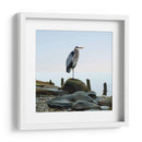 Playscape Heron I - James McLoughlin | Cuadro decorativo de Canvas Lab