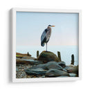 Playscape Heron I - James McLoughlin | Cuadro decorativo de Canvas Lab
