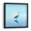Playscape Heron Ii - James McLoughlin | Cuadro decorativo de Canvas Lab