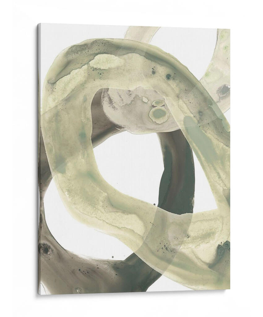 Liquen Concéntrico Ii - June Erica Vess | Cuadro decorativo de Canvas Lab