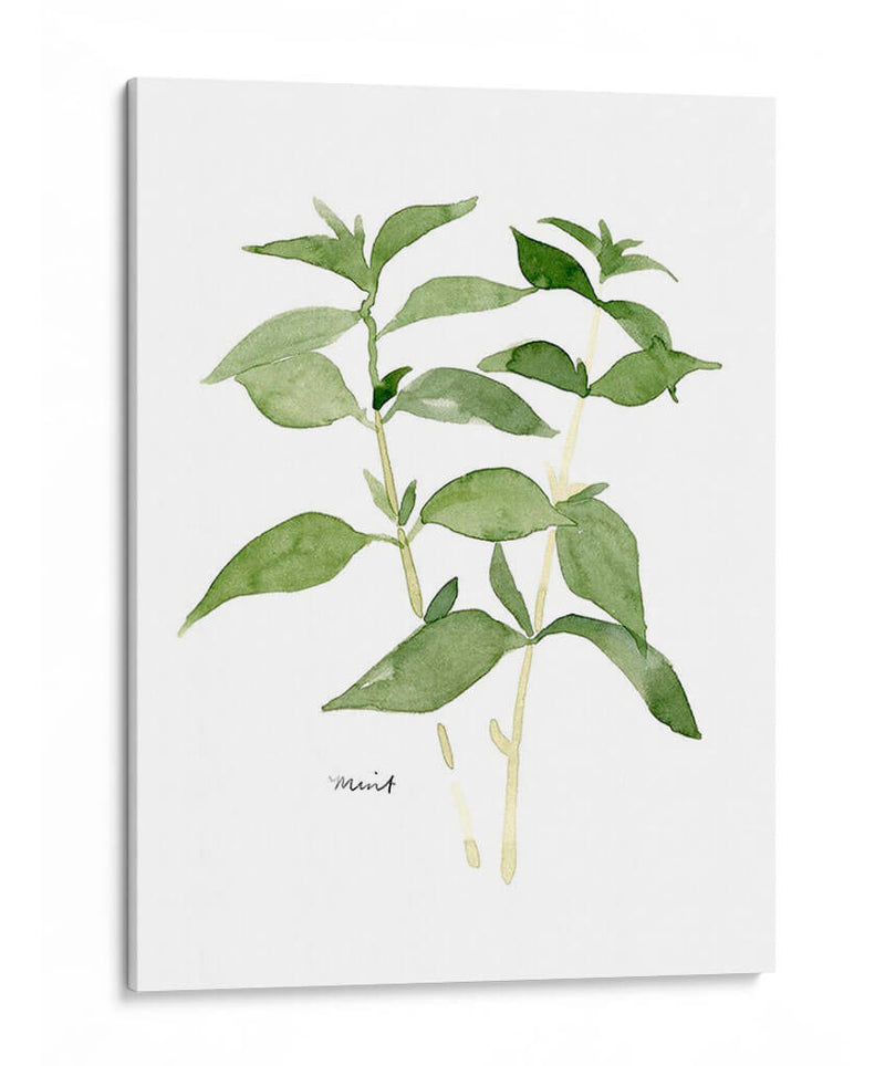 Herb Garden Bocetos I - Emma Scarvey | Cuadro decorativo de Canvas Lab