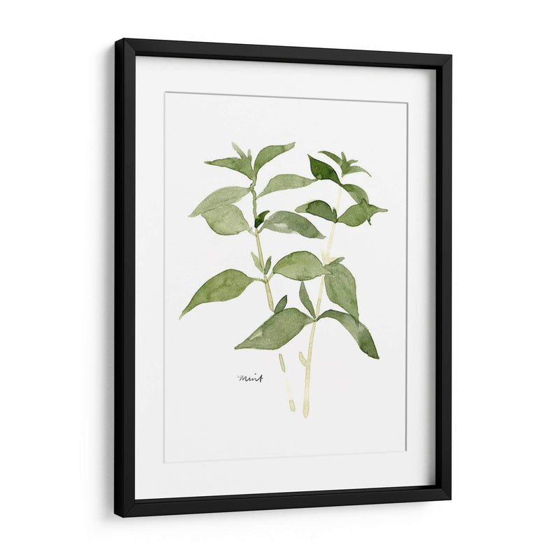 Herb Garden Bocetos I - Emma Scarvey | Cuadro decorativo de Canvas Lab