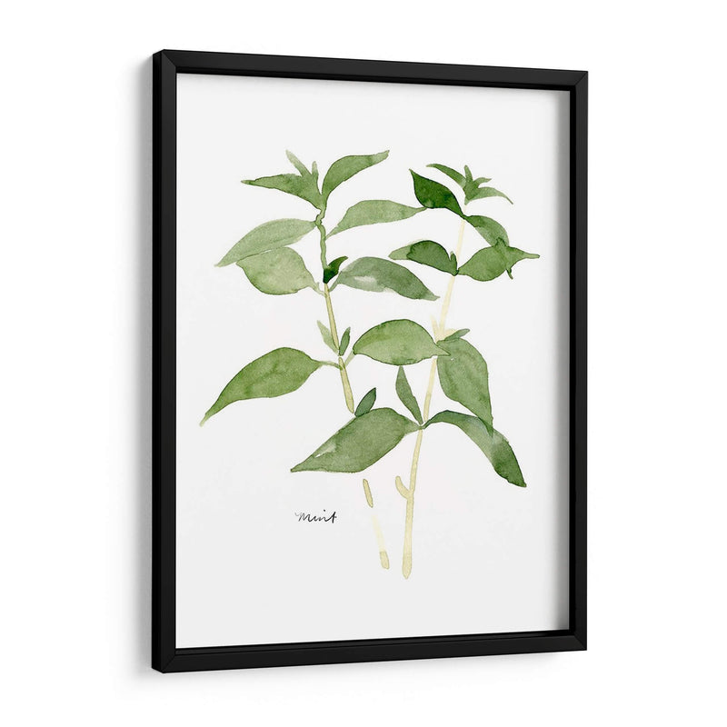 Herb Garden Bocetos I - Emma Scarvey | Cuadro decorativo de Canvas Lab