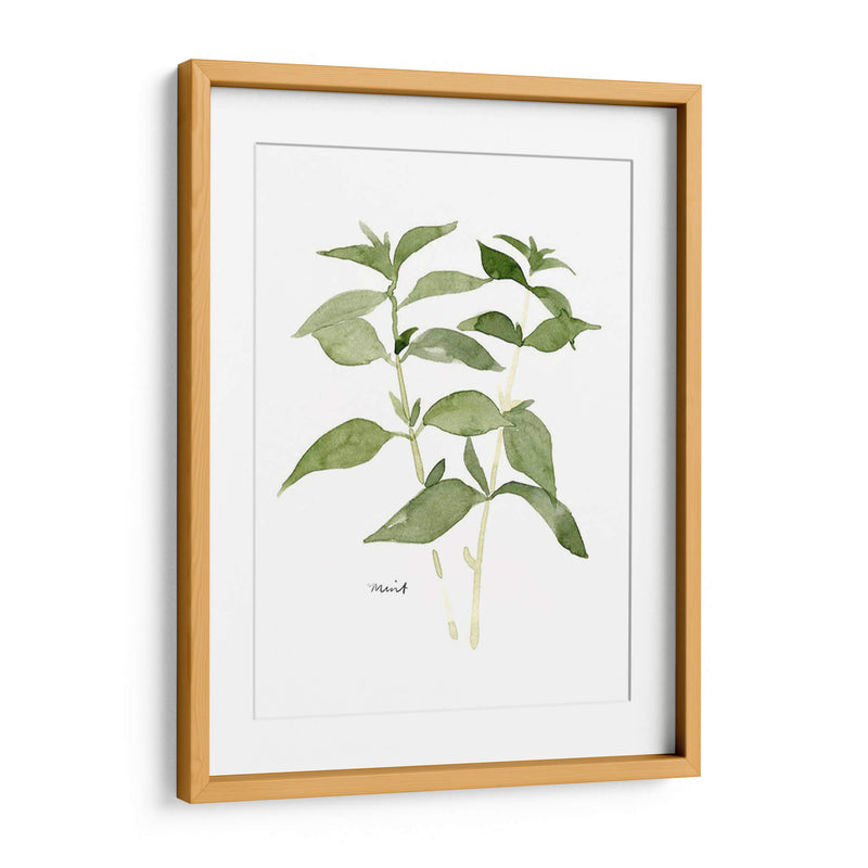 Herb Garden Bocetos I - Emma Scarvey | Cuadro decorativo de Canvas Lab