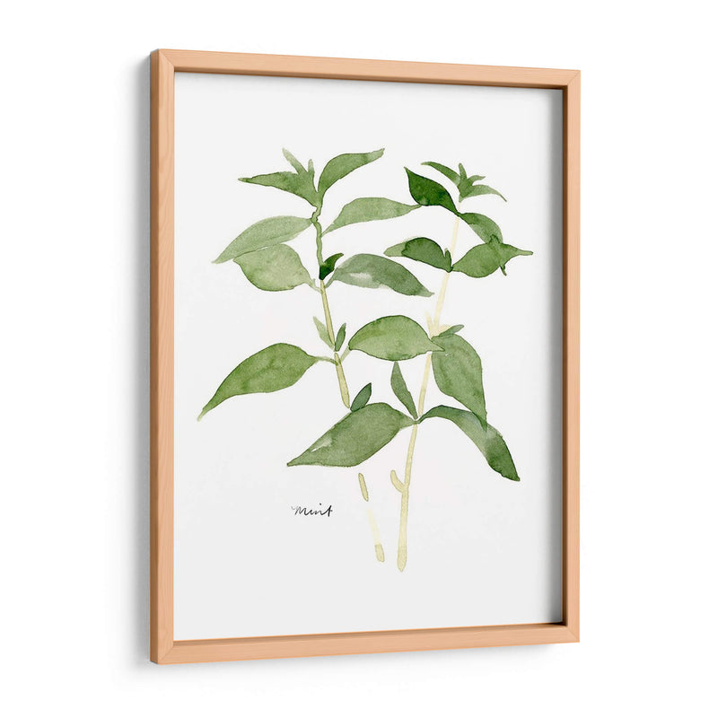 Herb Garden Bocetos I - Emma Scarvey | Cuadro decorativo de Canvas Lab