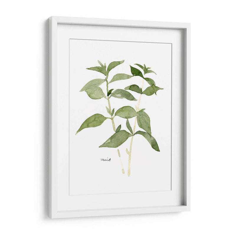 Herb Garden Bocetos I - Emma Scarvey | Cuadro decorativo de Canvas Lab