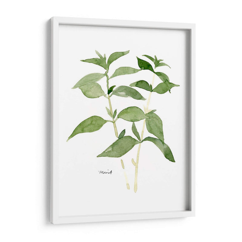 Herb Garden Bocetos I - Emma Scarvey | Cuadro decorativo de Canvas Lab