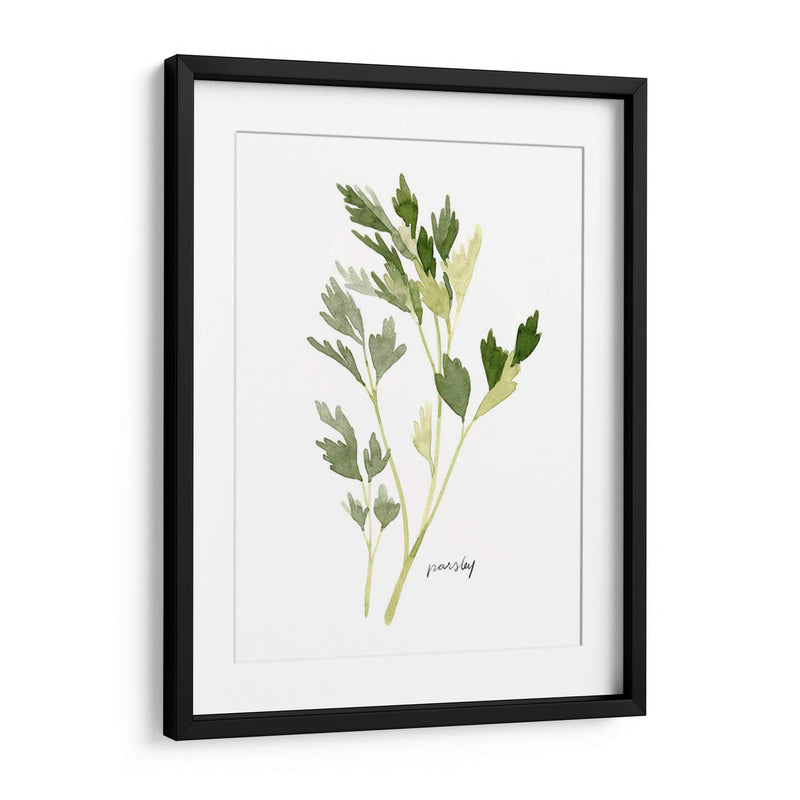 Herb Garden Sketches Ii - Emma Scarvey | Cuadro decorativo de Canvas Lab