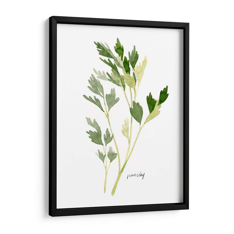 Herb Garden Sketches Ii - Emma Scarvey | Cuadro decorativo de Canvas Lab