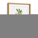 Herb Garden Sketches Ii - Emma Scarvey | Cuadro decorativo de Canvas Lab