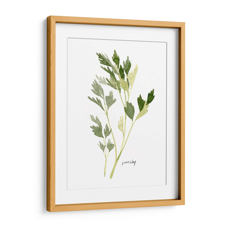 Herb Garden Sketches Ii - Emma Scarvey | Cuadro decorativo de Canvas Lab