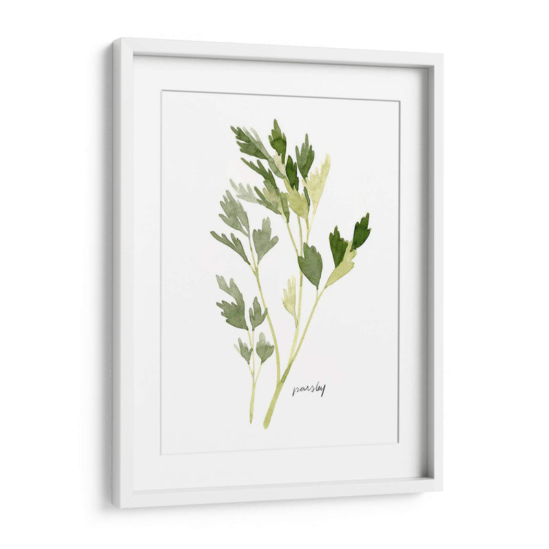 Herb Garden Sketches Ii - Emma Scarvey | Cuadro decorativo de Canvas Lab