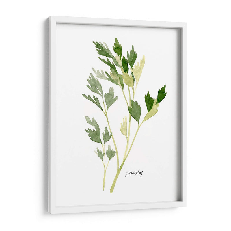 Herb Garden Sketches Ii - Emma Scarvey | Cuadro decorativo de Canvas Lab