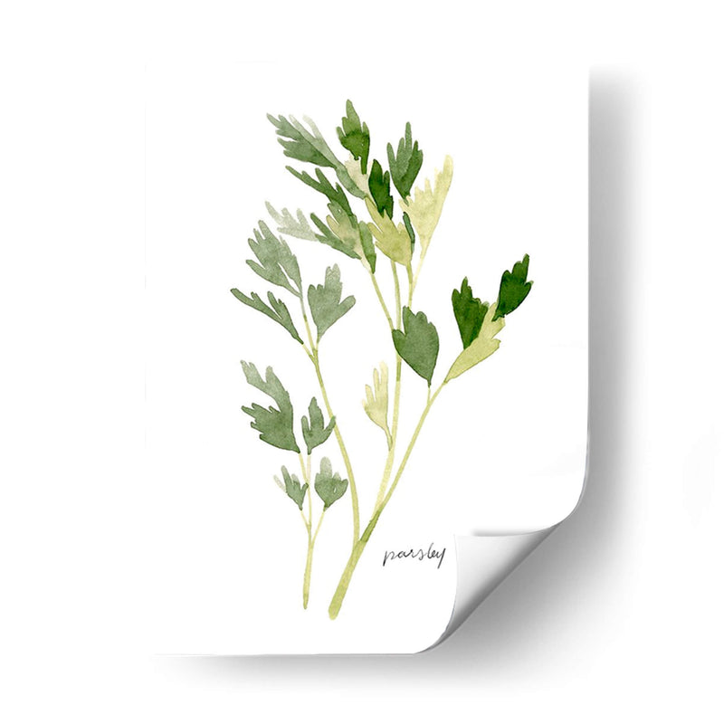 Herb Garden Sketches Ii - Emma Scarvey | Cuadro decorativo de Canvas Lab