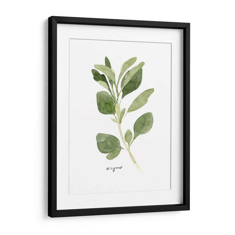 Herb Garden Bocetos Iii - Emma Scarvey | Cuadro decorativo de Canvas Lab