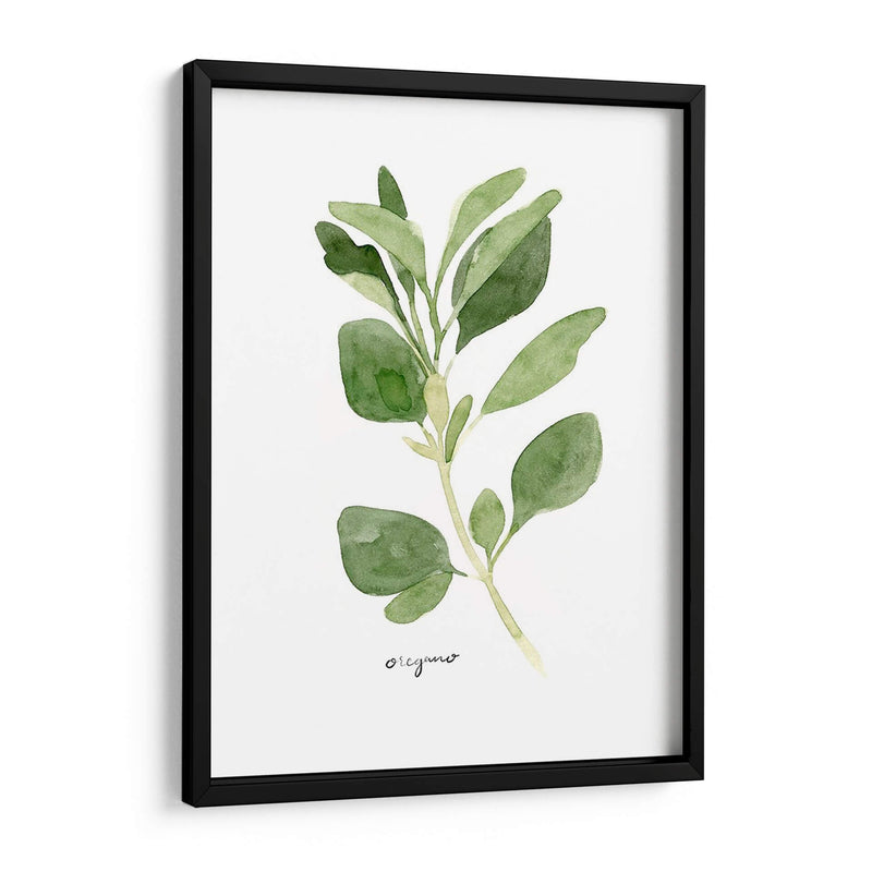 Herb Garden Bocetos Iii - Emma Scarvey | Cuadro decorativo de Canvas Lab