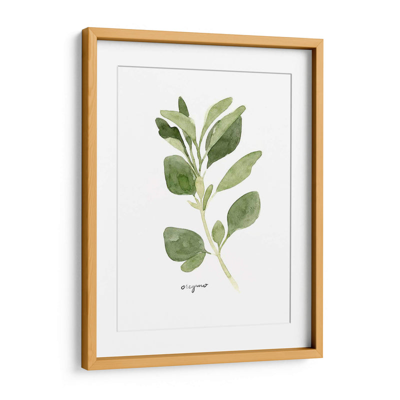 Herb Garden Bocetos Iii - Emma Scarvey | Cuadro decorativo de Canvas Lab