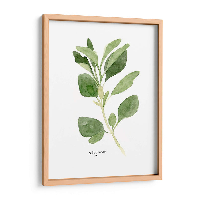 Herb Garden Bocetos Iii - Emma Scarvey | Cuadro decorativo de Canvas Lab