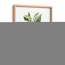 Herb Garden Bocetos Iii - Emma Scarvey | Cuadro decorativo de Canvas Lab