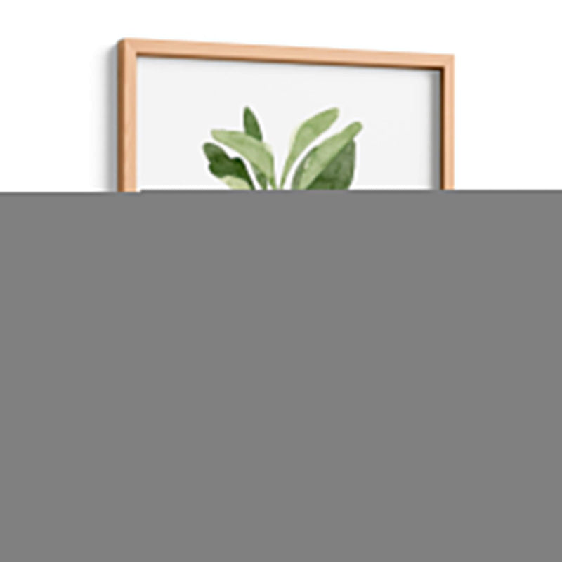 Herb Garden Bocetos Iii - Emma Scarvey | Cuadro decorativo de Canvas Lab