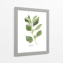 Herb Garden Bocetos Iii - Emma Scarvey | Cuadro decorativo de Canvas Lab