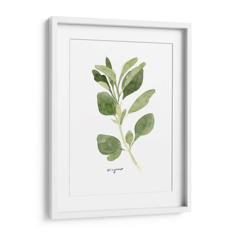 Herb Garden Bocetos Iii - Emma Scarvey | Cuadro decorativo de Canvas Lab