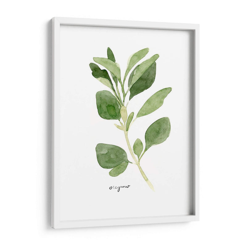 Herb Garden Bocetos Iii - Emma Scarvey | Cuadro decorativo de Canvas Lab