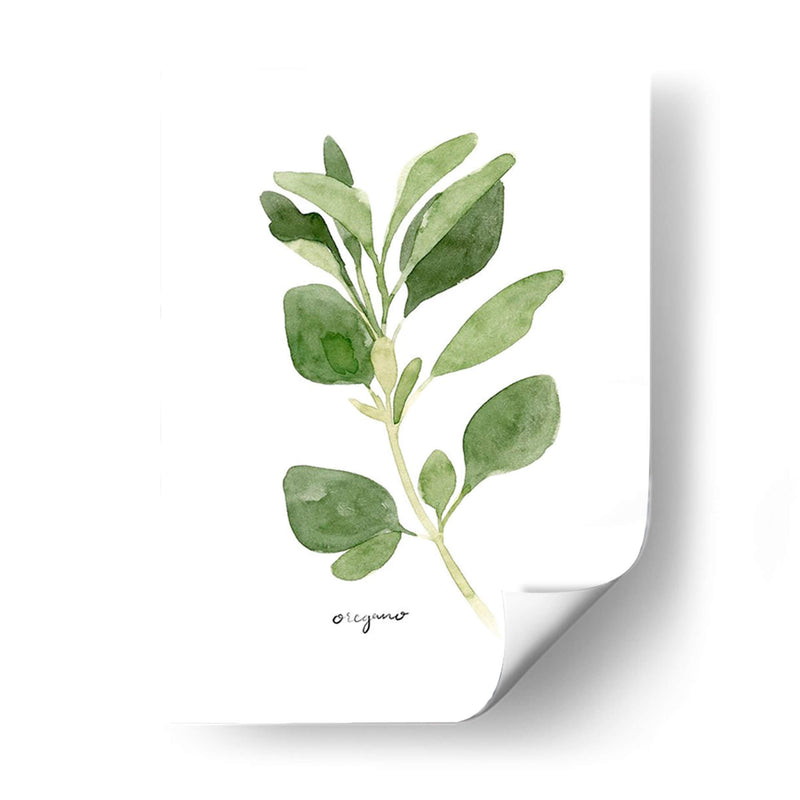 Herb Garden Bocetos Iii - Emma Scarvey | Cuadro decorativo de Canvas Lab