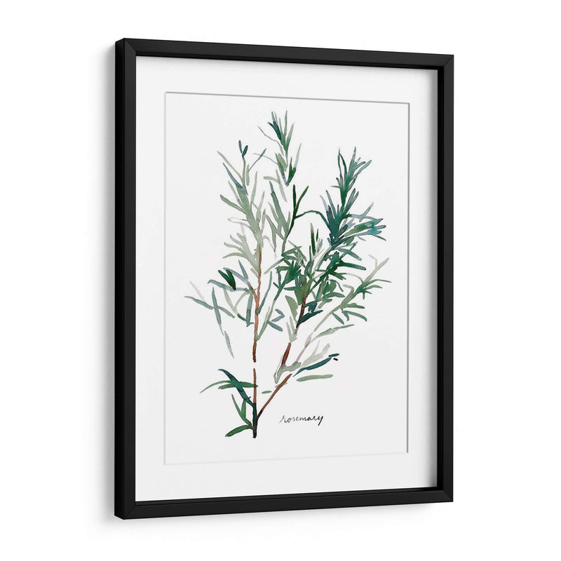 Herb Garden Bocetos Iv - Emma Scarvey | Cuadro decorativo de Canvas Lab