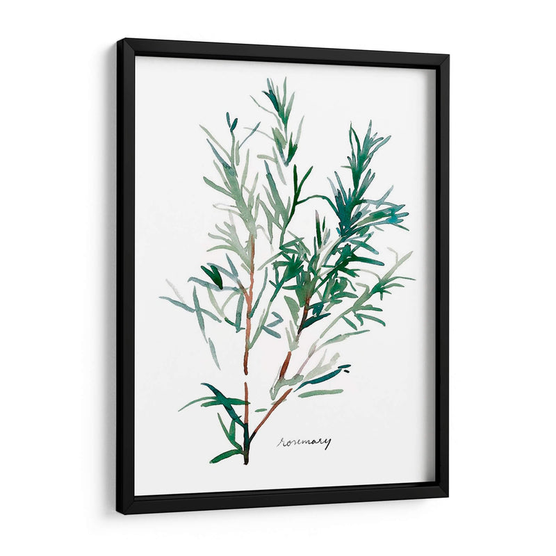 Herb Garden Bocetos Iv - Emma Scarvey | Cuadro decorativo de Canvas Lab