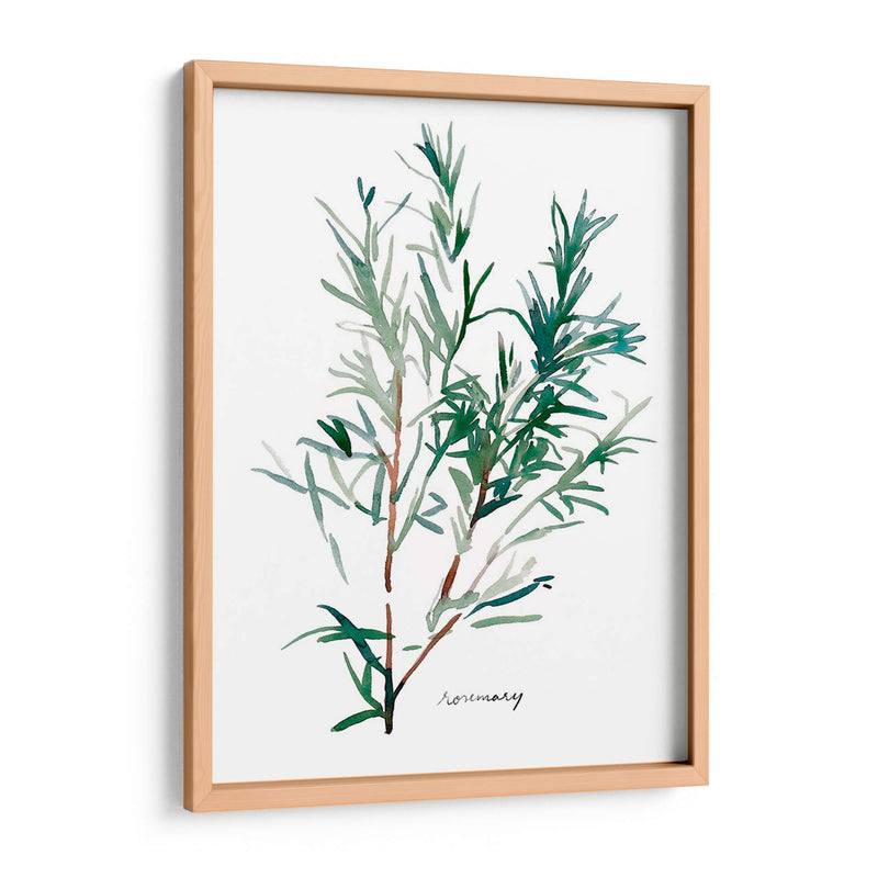 Herb Garden Bocetos Iv - Emma Scarvey | Cuadro decorativo de Canvas Lab