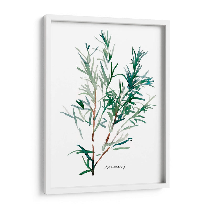 Herb Garden Bocetos Iv - Emma Scarvey | Cuadro decorativo de Canvas Lab