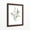 Bocetos De Jardín De Hierbas V - Emma Scarvey | Cuadro decorativo de Canvas Lab