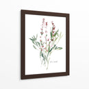 Bocetos De Jardín De Hierbas V - Emma Scarvey | Cuadro decorativo de Canvas Lab