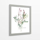 Bocetos De Jardín De Hierbas V - Emma Scarvey | Cuadro decorativo de Canvas Lab
