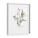 Bocetos De Jardín De Hierbas V - Emma Scarvey | Cuadro decorativo de Canvas Lab