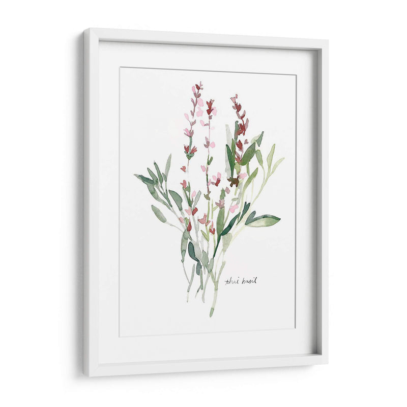 Bocetos De Jardín De Hierbas V - Emma Scarvey | Cuadro decorativo de Canvas Lab