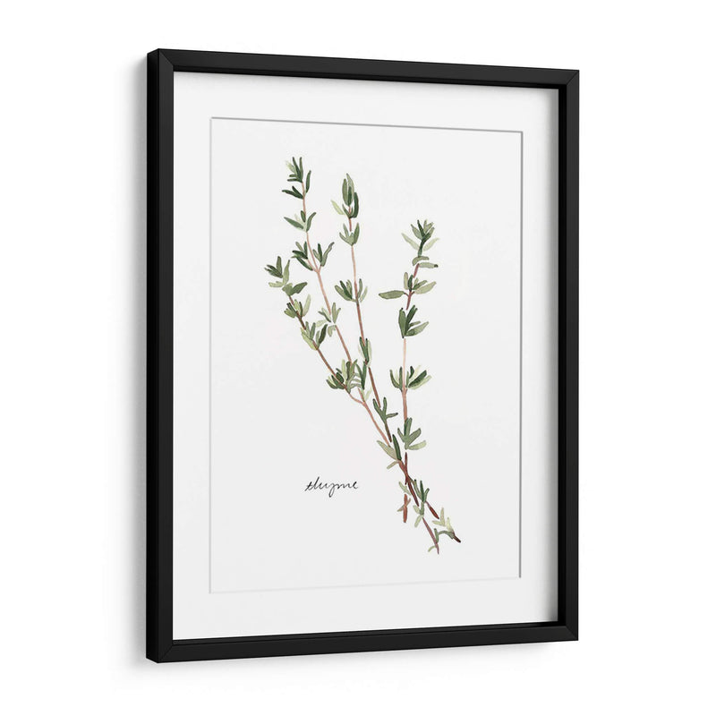 Herb Garden Bocetos Vi - Emma Scarvey | Cuadro decorativo de Canvas Lab