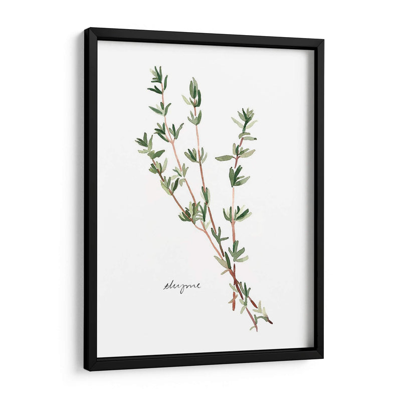 Herb Garden Bocetos Vi - Emma Scarvey | Cuadro decorativo de Canvas Lab