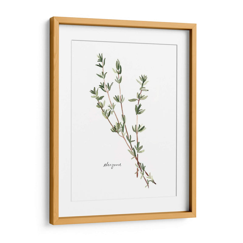 Herb Garden Bocetos Vi - Emma Scarvey | Cuadro decorativo de Canvas Lab