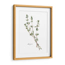 Herb Garden Bocetos Vi - Emma Scarvey | Cuadro decorativo de Canvas Lab