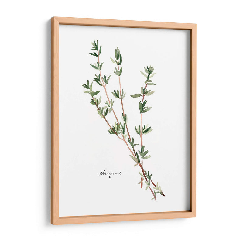 Herb Garden Bocetos Vi - Emma Scarvey | Cuadro decorativo de Canvas Lab