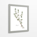 Herb Garden Bocetos Vi - Emma Scarvey | Cuadro decorativo de Canvas Lab