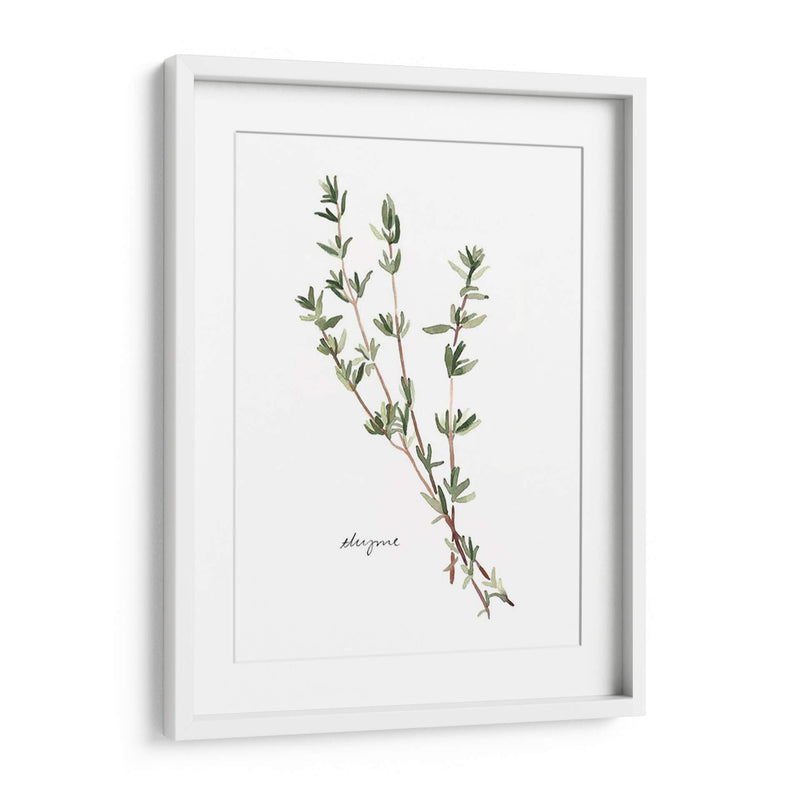 Herb Garden Bocetos Vi - Emma Scarvey | Cuadro decorativo de Canvas Lab