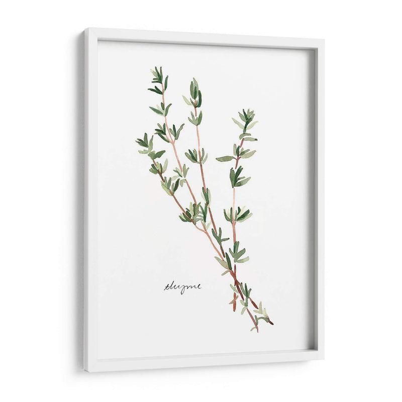 Herb Garden Bocetos Vi - Emma Scarvey | Cuadro decorativo de Canvas Lab