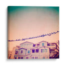 Pájaros En Cables I - Sue Riger | Cuadro decorativo de Canvas Lab